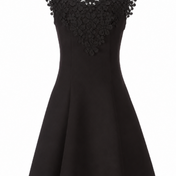 Black Sleeveless A-Line Dress with Crochet Lace Yoke